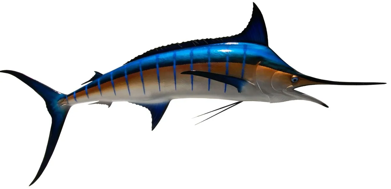 120 INCH BLUE MARLIN
