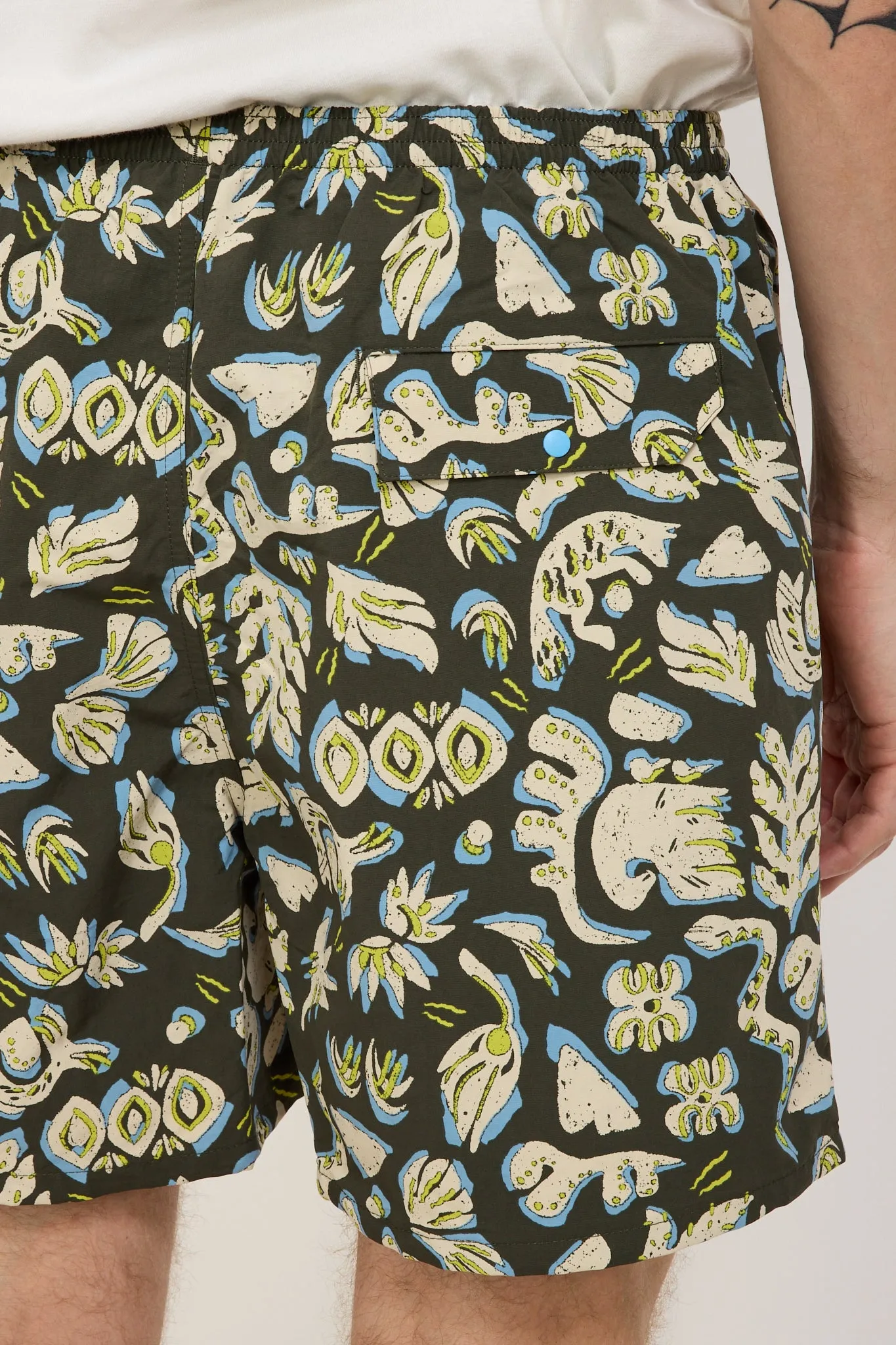 Baggies Shorts 5 in. Across Oceans: Pine Needle Green