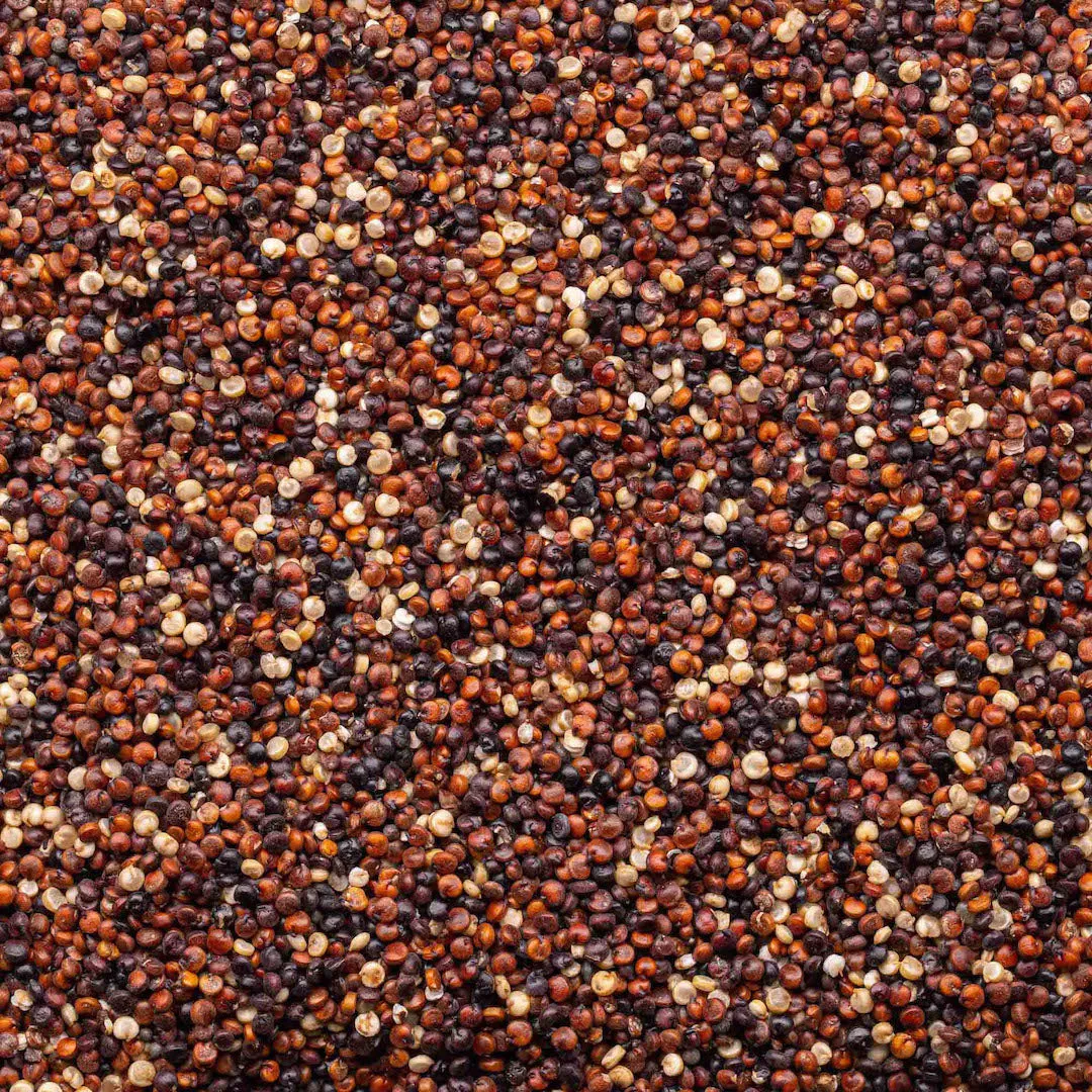 Organic Quinoa - Tri-Color Blend